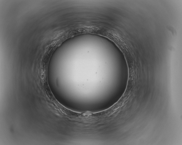 X0000115661109200911121208