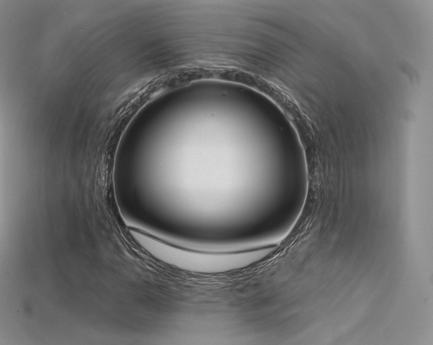 X0000115661110200911121208