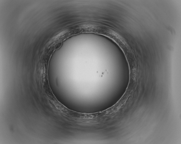 X0000115661111200911121208