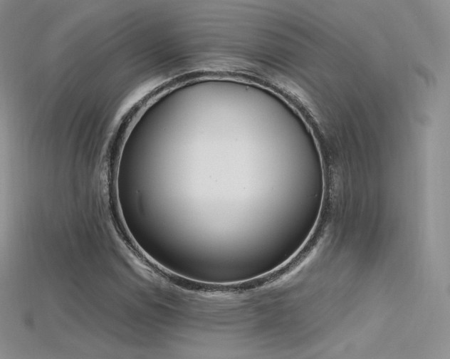 X0000115661114200911121208