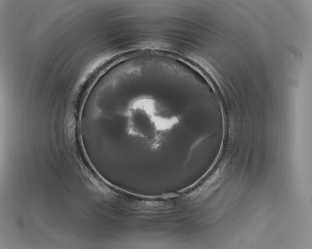 X0000115661115200911121208