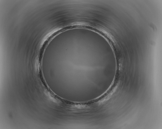 X0000115661117200911121208