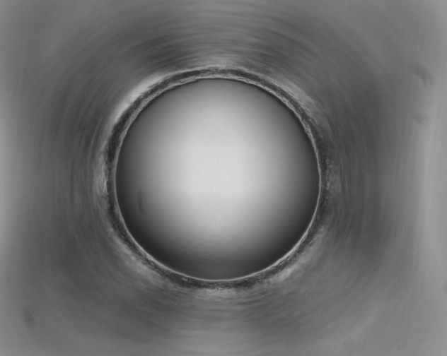 X0000115661118200911121208