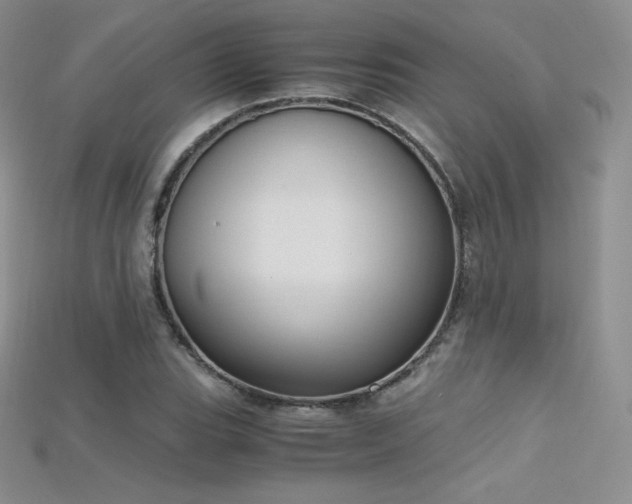 X0000115661119200911121208
