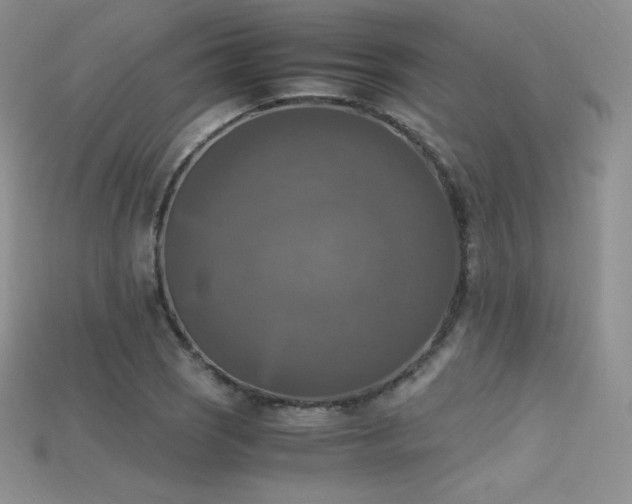 X0000115661121200911121208