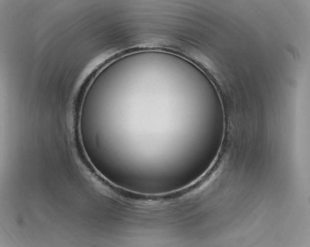 X0000115661122200911121208