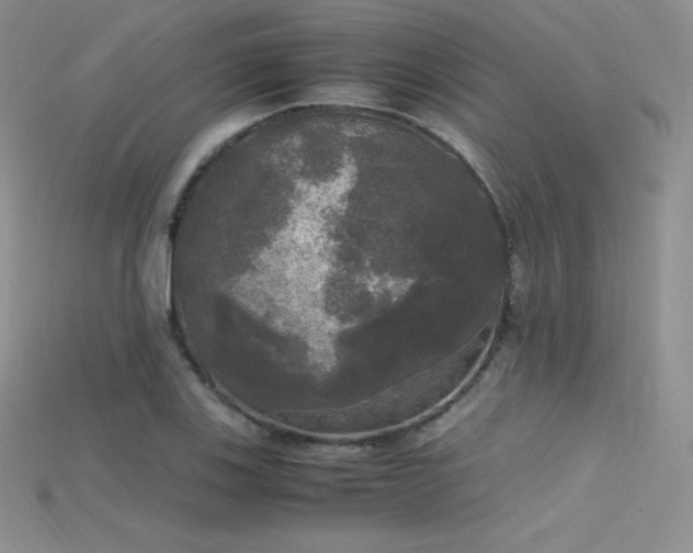 X0000115661123200911121208