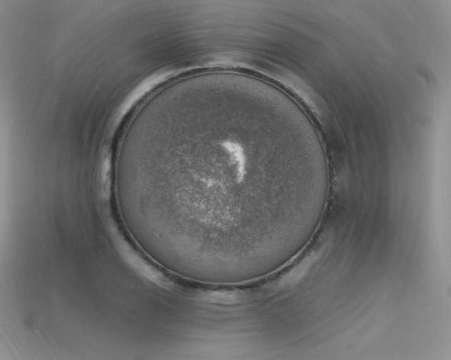 X0000115661126200911121208