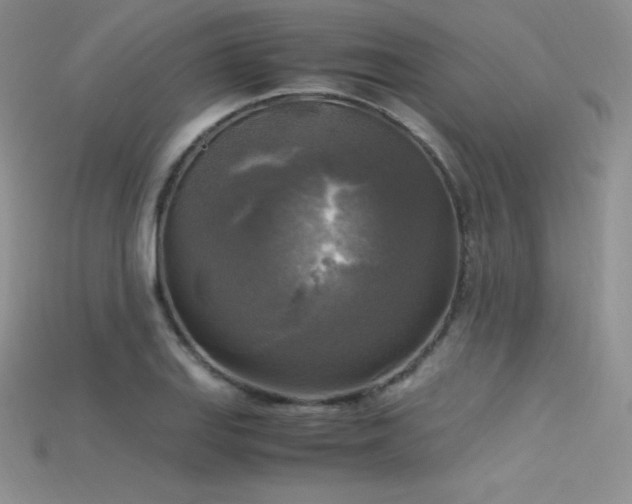 X0000115661127200911121208