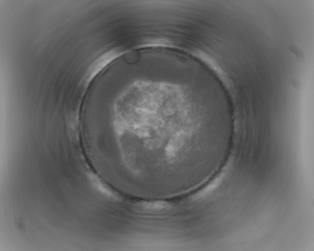 X0000115661129200911121208
