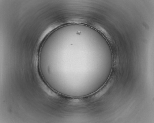 X0000115661130200911121208