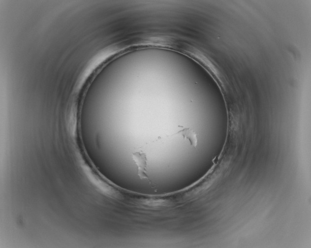X0000115661131200911121208