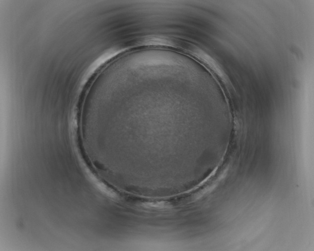 X0000115661133200911121208