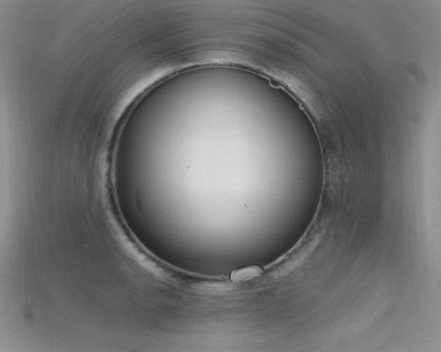 X0000115661134200911121208