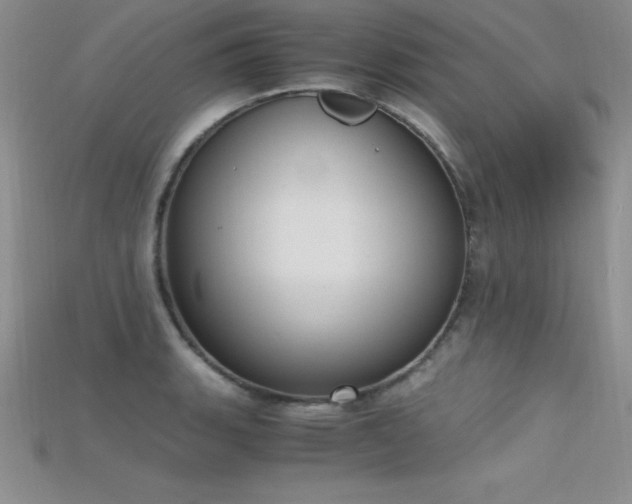 X0000115661135200911121208