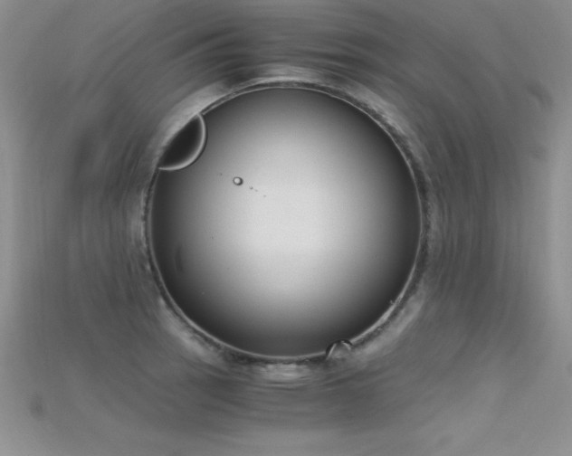X0000115661137200911121208