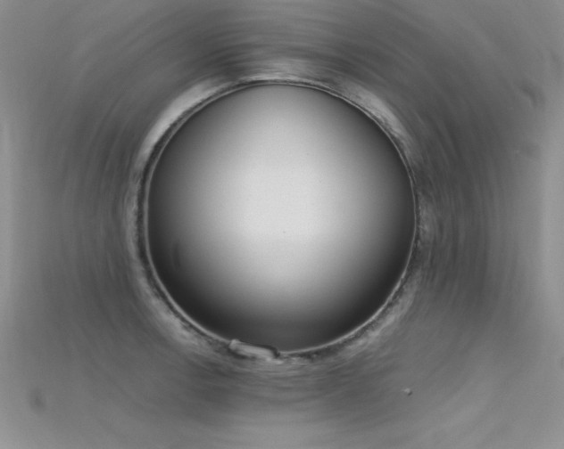 X0000115661138200911121208