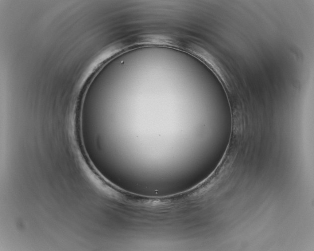 X0000115661139200911121208