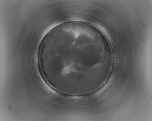 X0000115661141200911121208