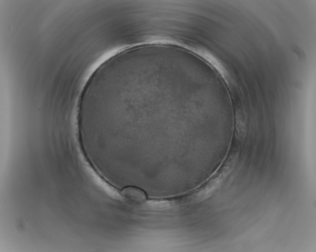 X0000115661142200911121208
