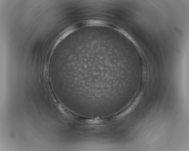 X0000115661145200911121208