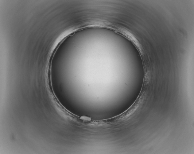 X0000115661146200911121208