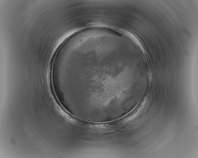 X0000115661149200911121208