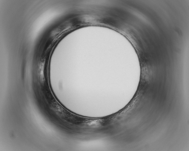 X0000115661150200911121208