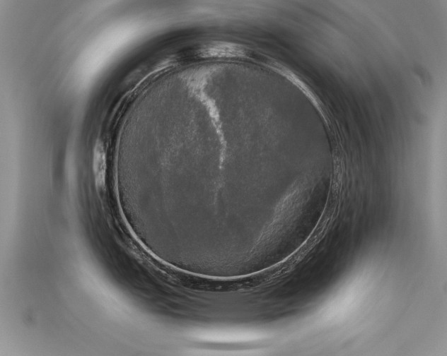 X0000115661151200911121208
