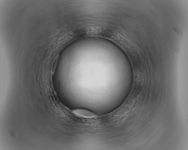 X0000115661153200911121208