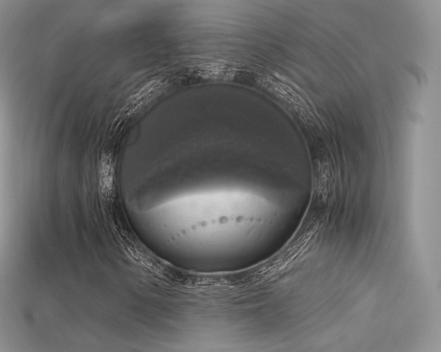 X0000115661154200911121208