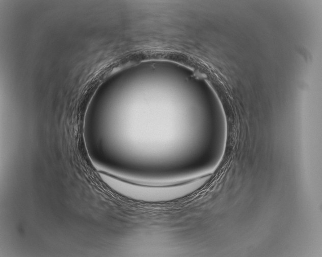 X0000115661157200911121208