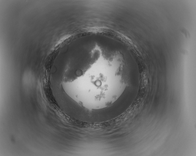 X0000115661158200911121208