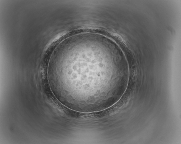 X0000115661159200911121208