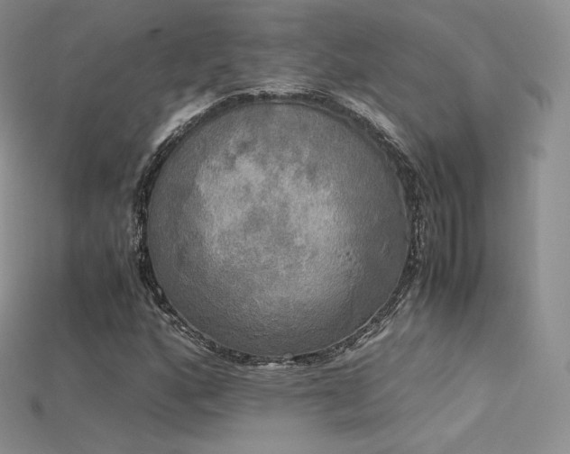 X0000115661160200911121208
