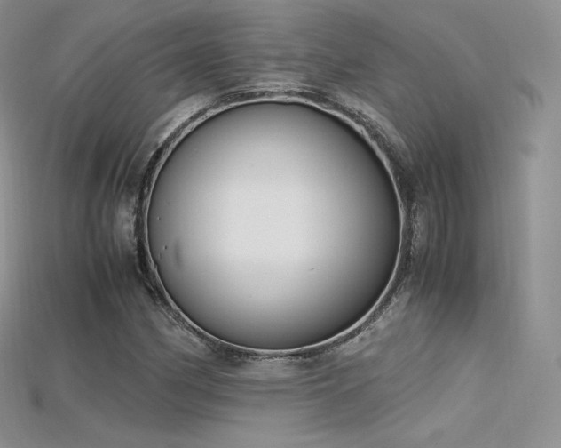 X0000115661162200911121208