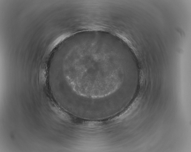 X0000115661163200911121208
