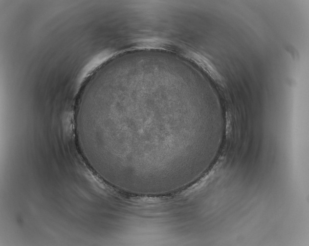 X0000115661164200911121208