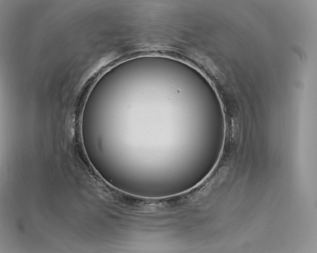 X0000115661165200911121207