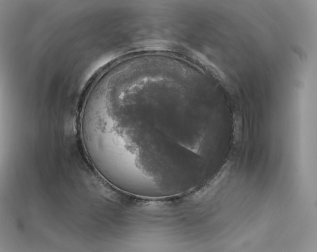 X0000115661166200911121207
