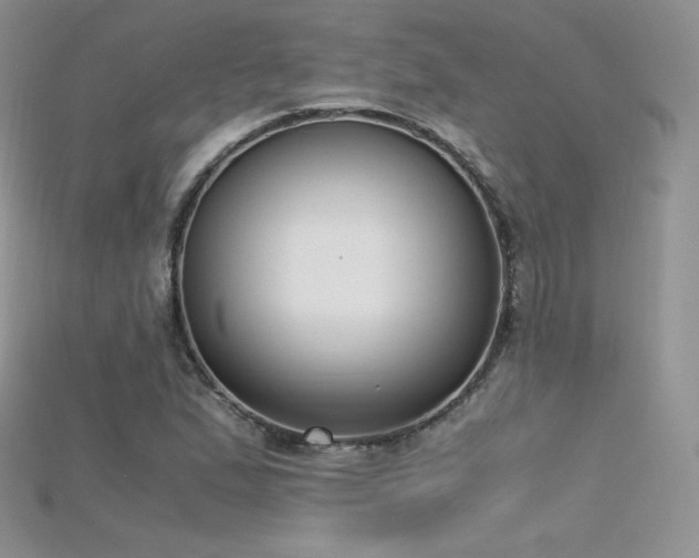 X0000115661167200911121207
