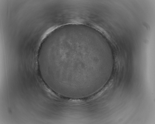 X0000115661168200911121207