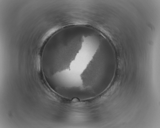 X0000115661171200911121207