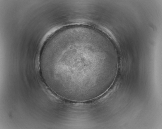 X0000115661172200911121207