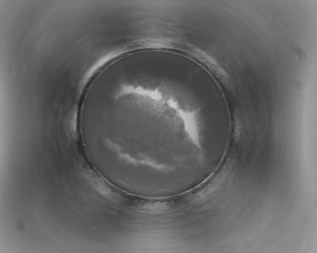 X0000115661174200911121207