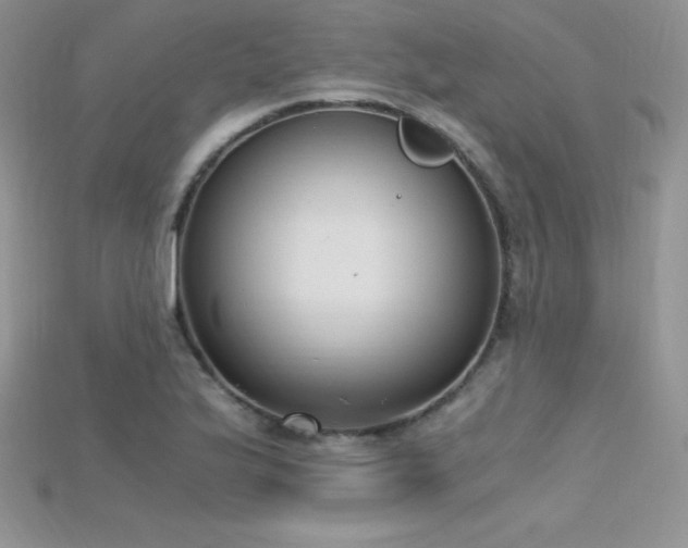 X0000115661175200911121207