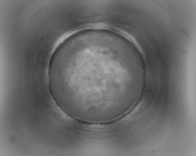 X0000115661176200911121207