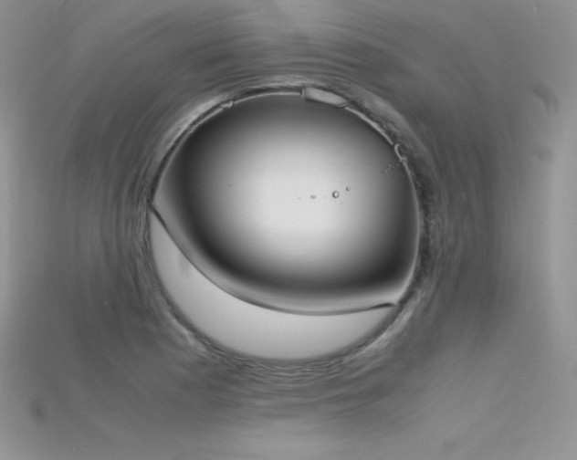 X0000115661177200911121207