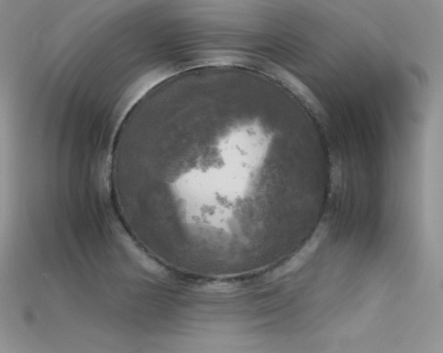 X0000115661178200911121207