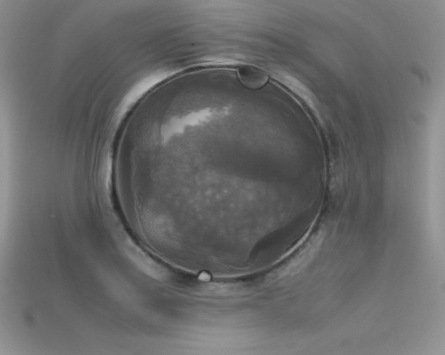 X0000115661179200911121207